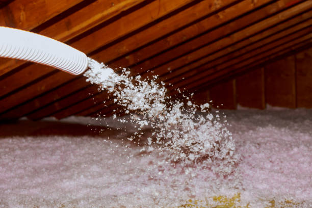 Best Eco-Friendly Insulation in Kenosha, WI