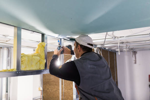 Best Insulation Maintenance and Repair in Kenosha, WI