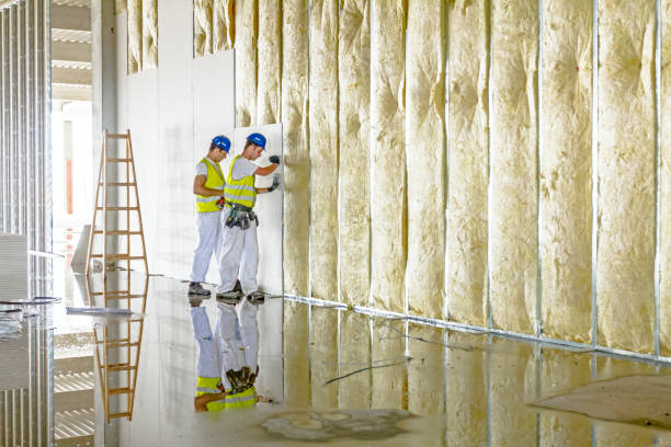 Best Cellulose Insulation in Kenosha, WI